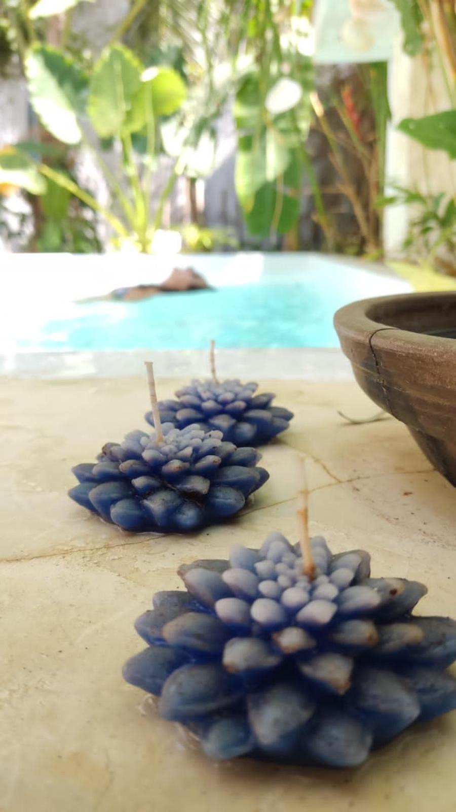 Chale Da Sereia Apart-Hotel Com Cozina Piscina Oasis No Centro De Jericoacoara Buitenkant foto