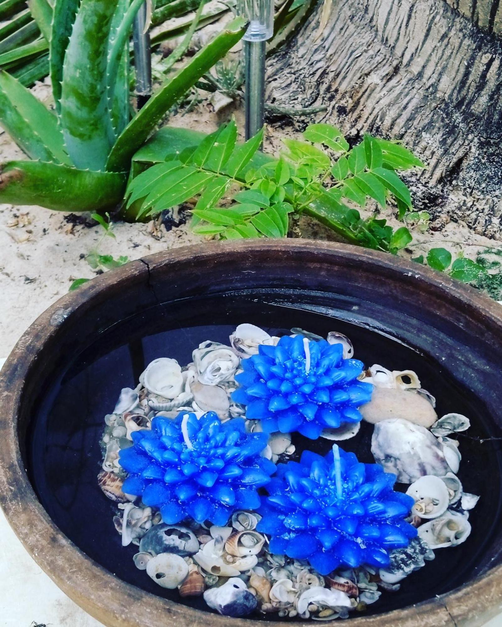 Chale Da Sereia Apart-Hotel Com Cozina Piscina Oasis No Centro De Jericoacoara Buitenkant foto